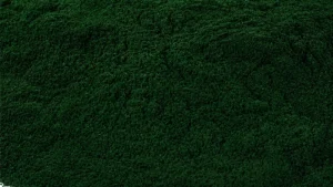 Vita spiruline