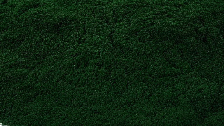 Vita spiruline